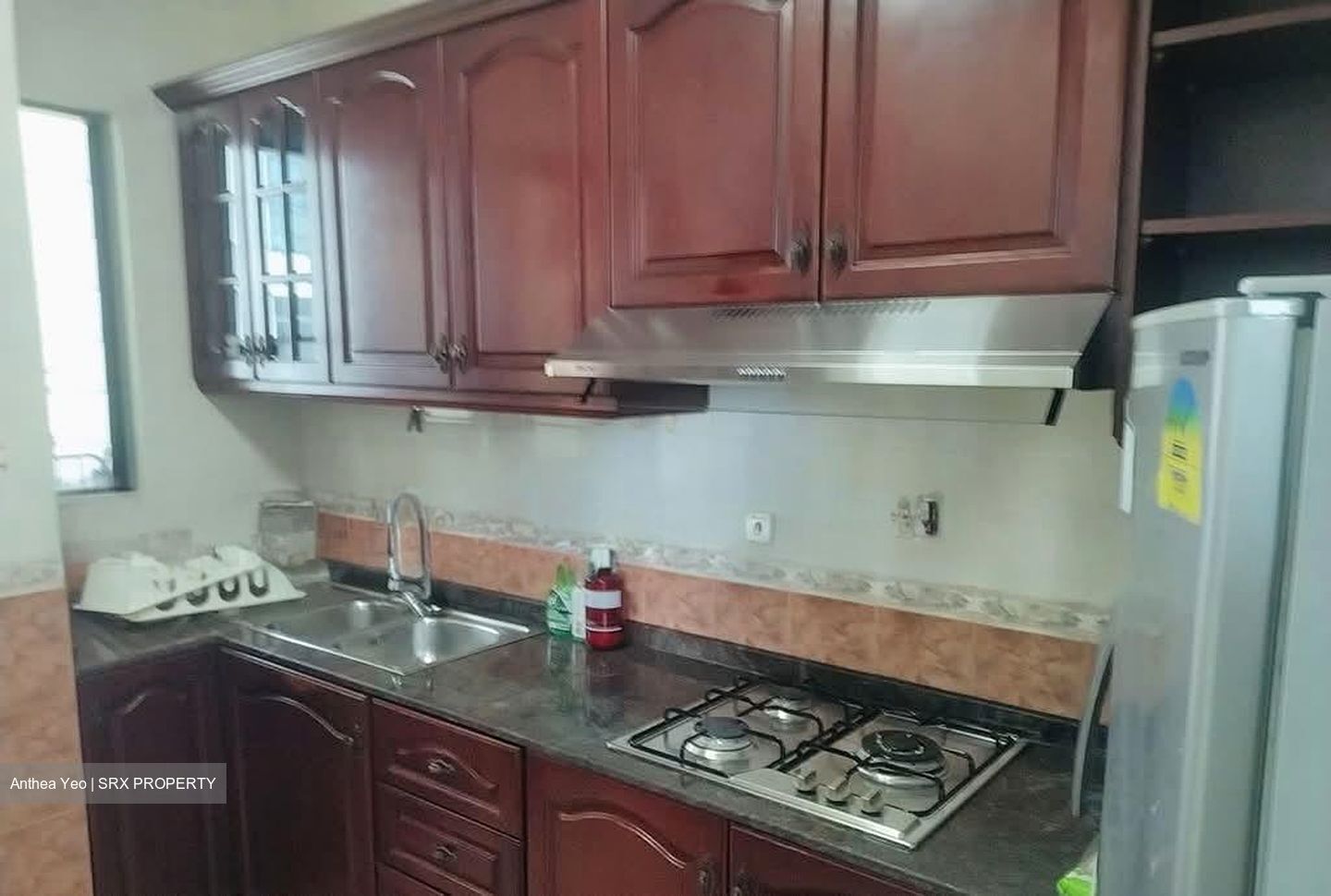 Tanglin Regency (D10), Condominium #602142431